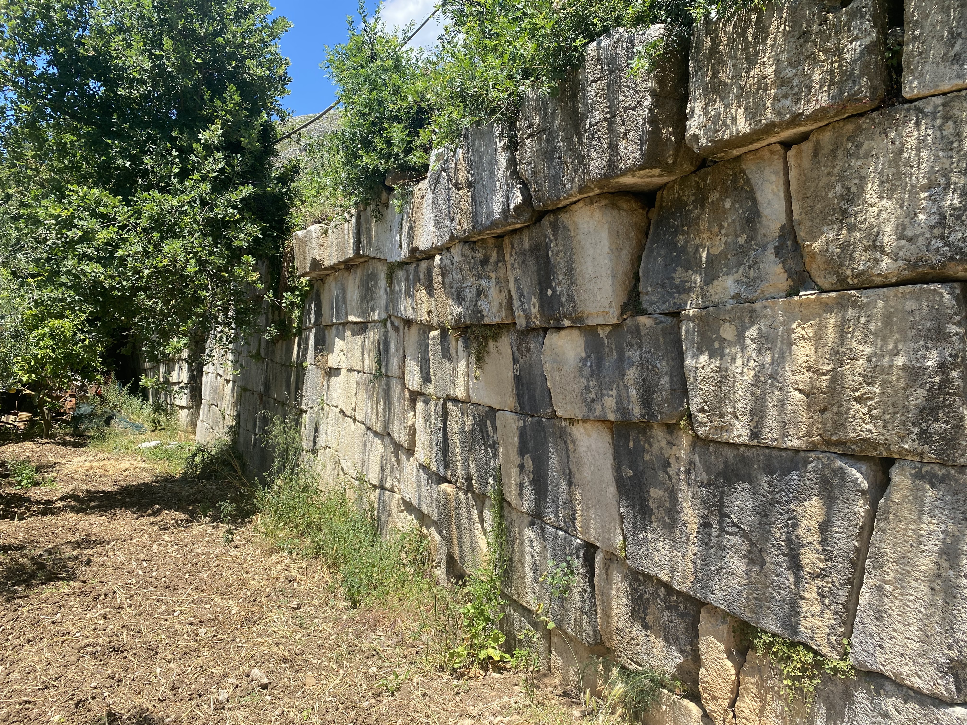 CASTELLONORATO – Minutiae