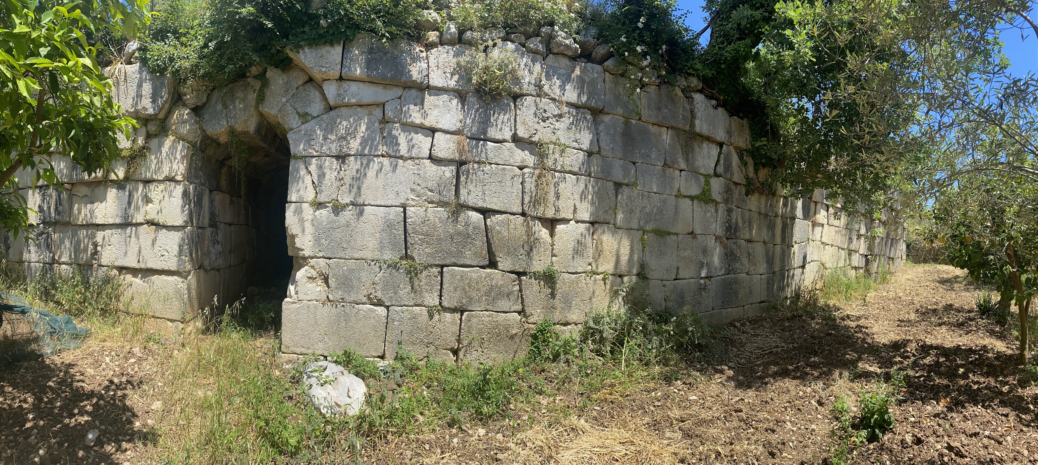 CASTELLONORATO – Minutiae